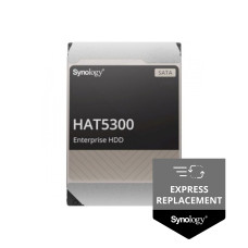 Жесткий диск Synology HAT5300-12T, раздел Synology
