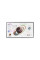 Интерактивный дисплей Samsung Flip Pro WM55B 55