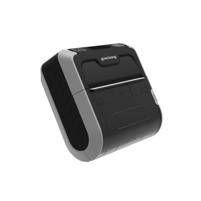 Принтер этикеток Honeywell (MPD31D) MPD31D111