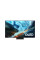 Телевизор Samsung QE55S90HAUXCE